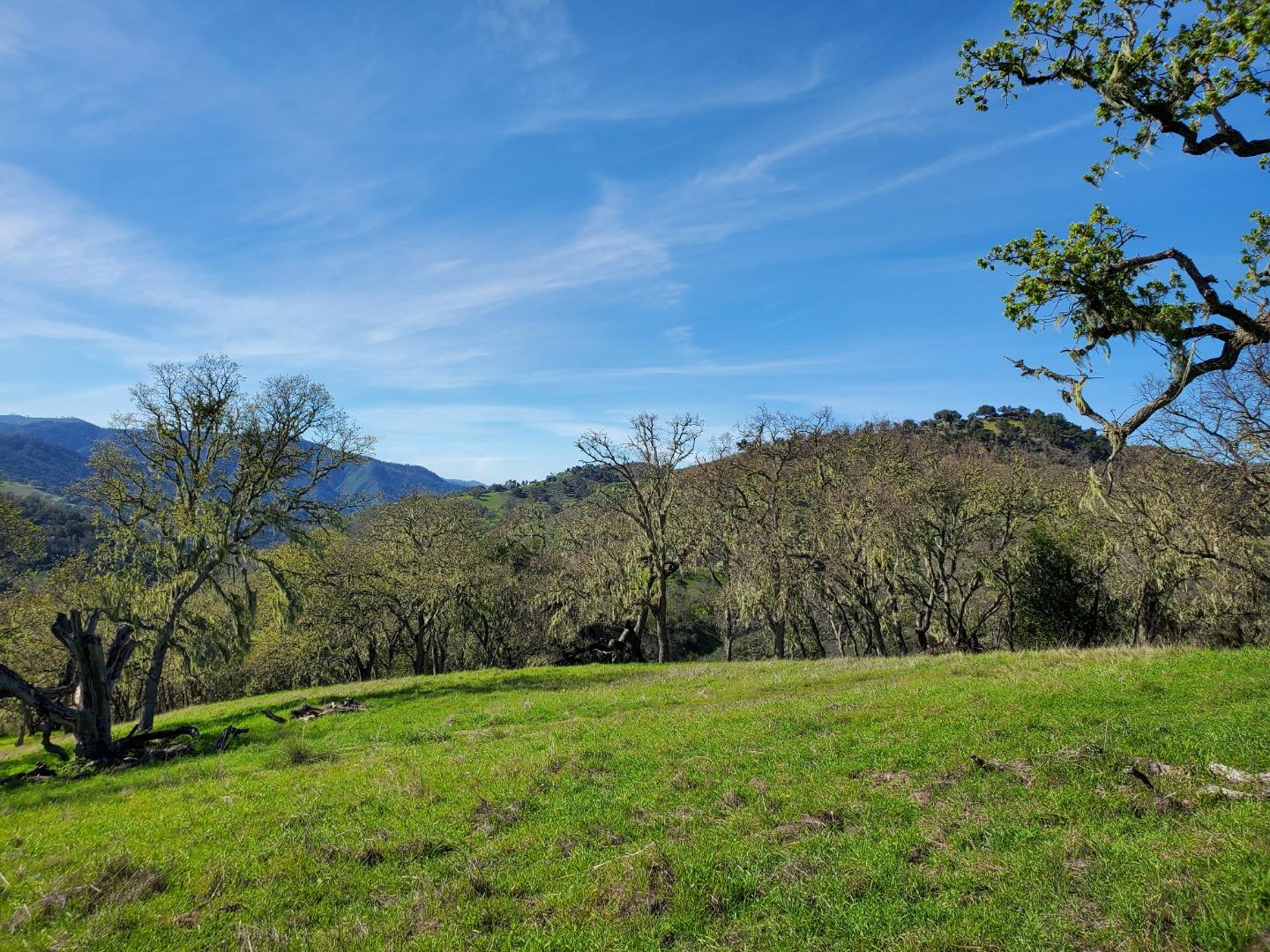 Detail Gallery Image 11 of 27 For 0 Cachagua Road, Carmel Valley,  CA 93924 - – Beds | – Baths