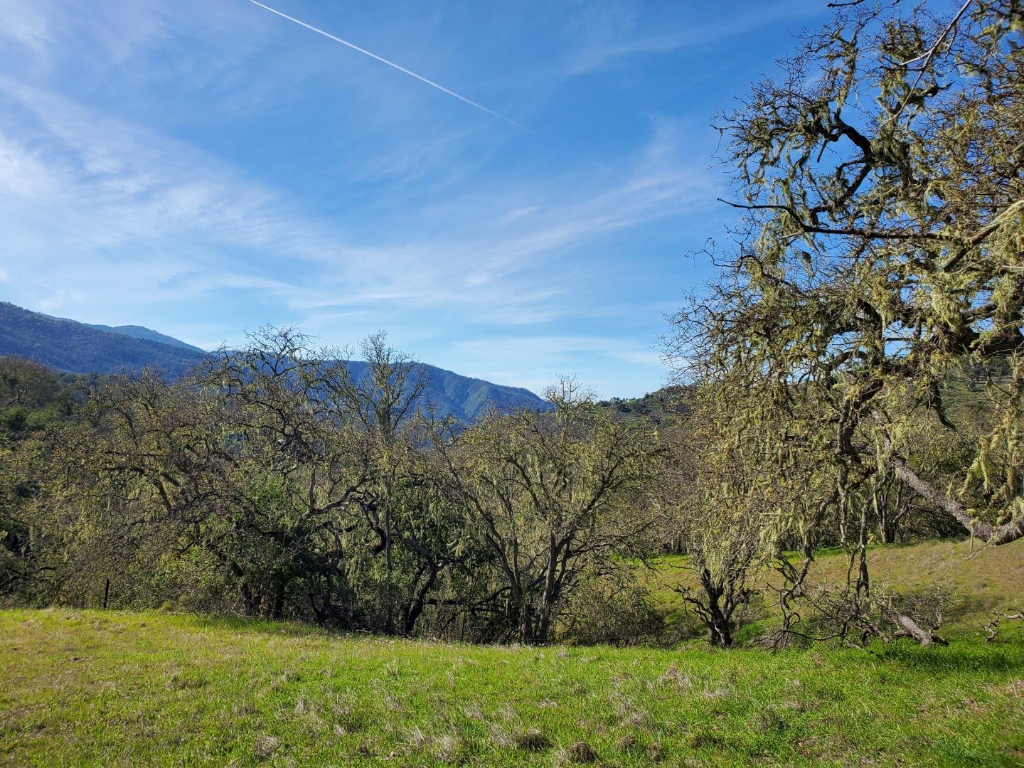 Detail Gallery Image 16 of 27 For 0 Cachagua Road, Carmel Valley,  CA 93924 - – Beds | – Baths