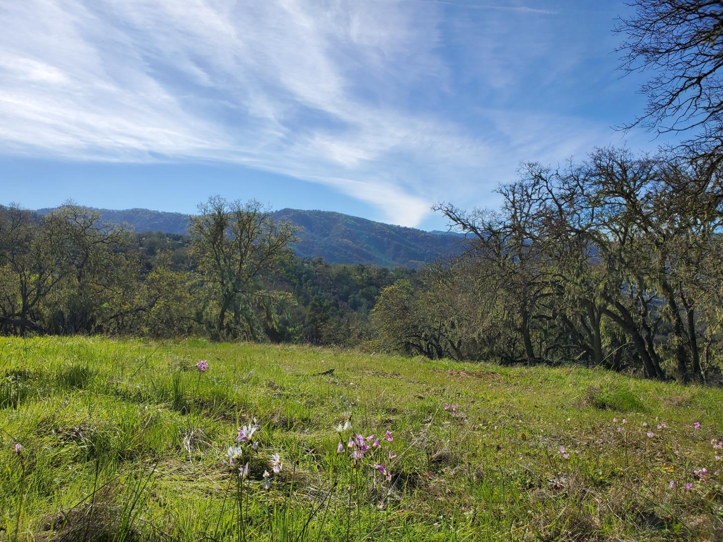 Detail Gallery Image 17 of 27 For 0 Cachagua Road, Carmel Valley,  CA 93924 - – Beds | – Baths