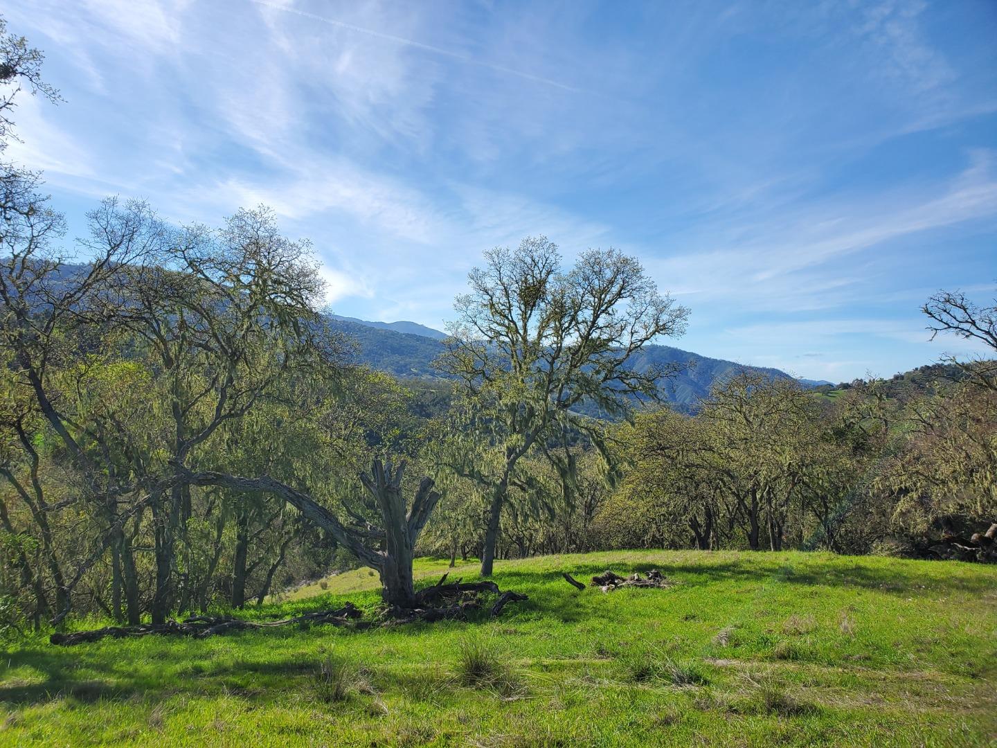 Detail Gallery Image 21 of 27 For 0 Cachagua Road, Carmel Valley,  CA 93924 - – Beds | – Baths