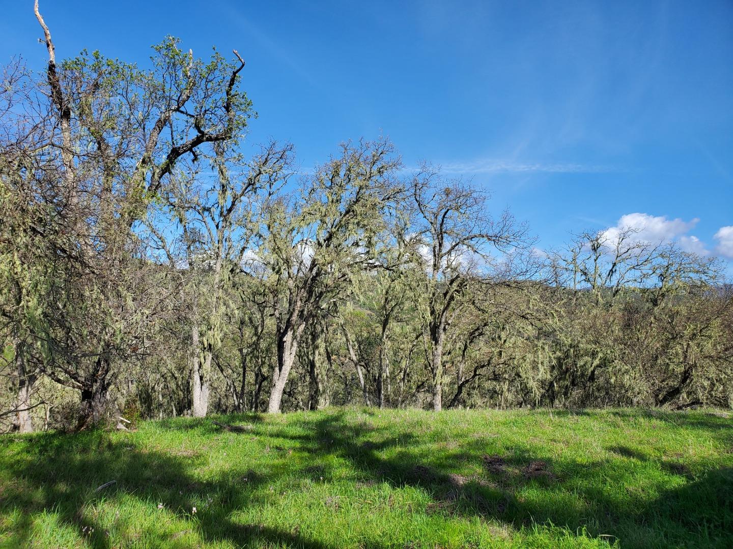 Detail Gallery Image 23 of 27 For 0 Cachagua Road, Carmel Valley,  CA 93924 - – Beds | – Baths
