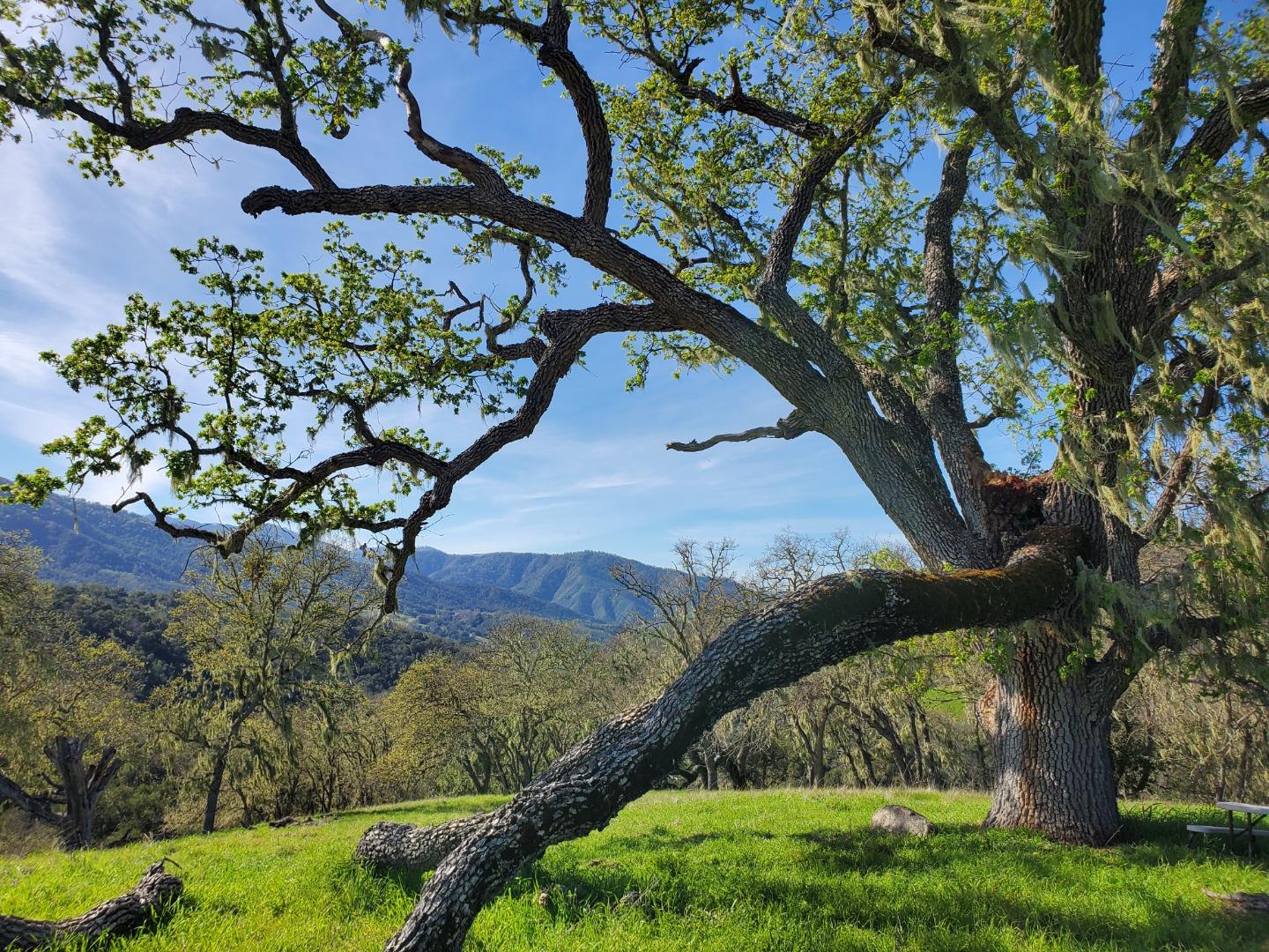 Detail Gallery Image 5 of 27 For 0 Cachagua Road, Carmel Valley,  CA 93924 - – Beds | – Baths