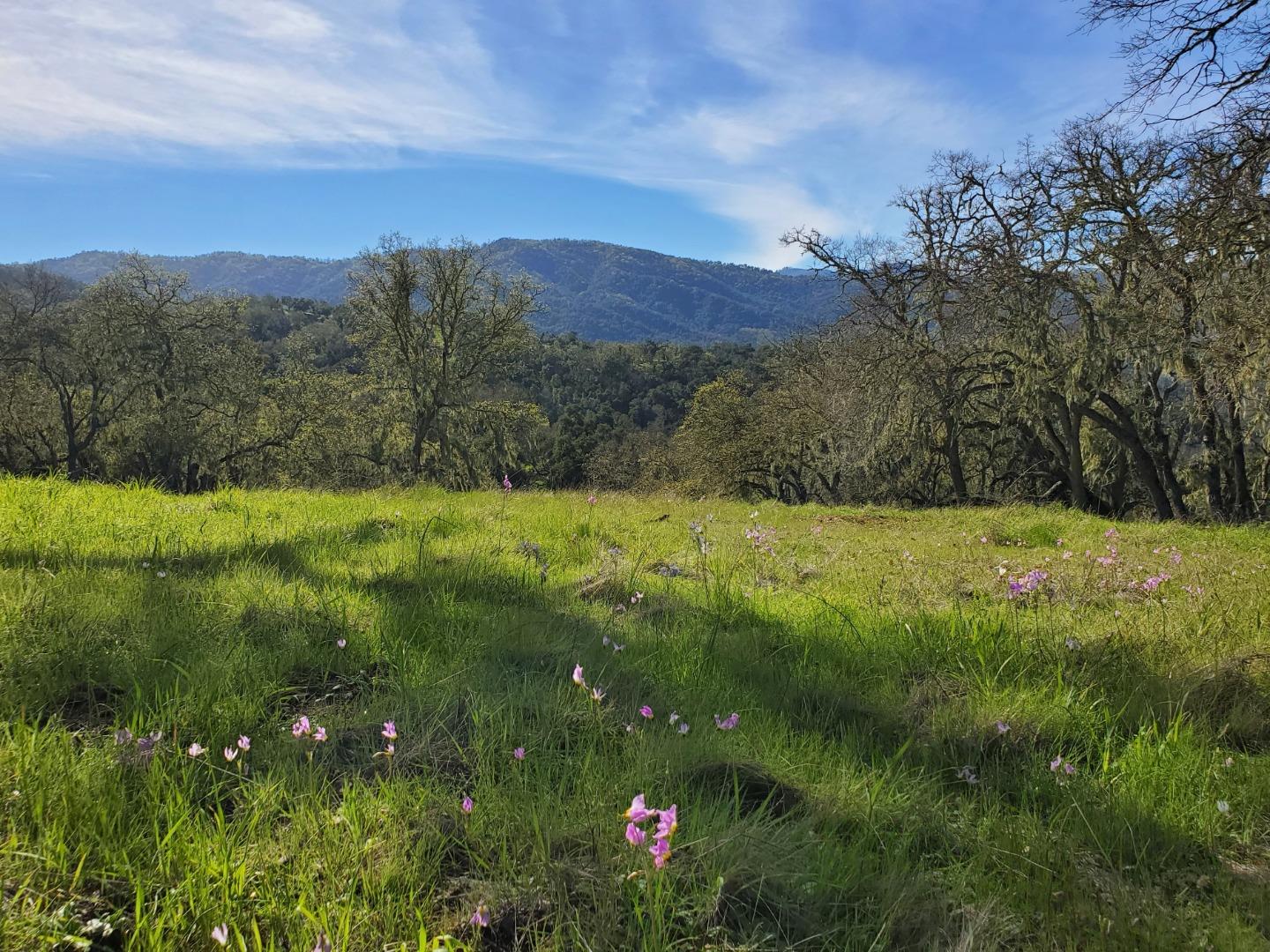Detail Gallery Image 9 of 27 For 0 Cachagua Road, Carmel Valley,  CA 93924 - – Beds | – Baths