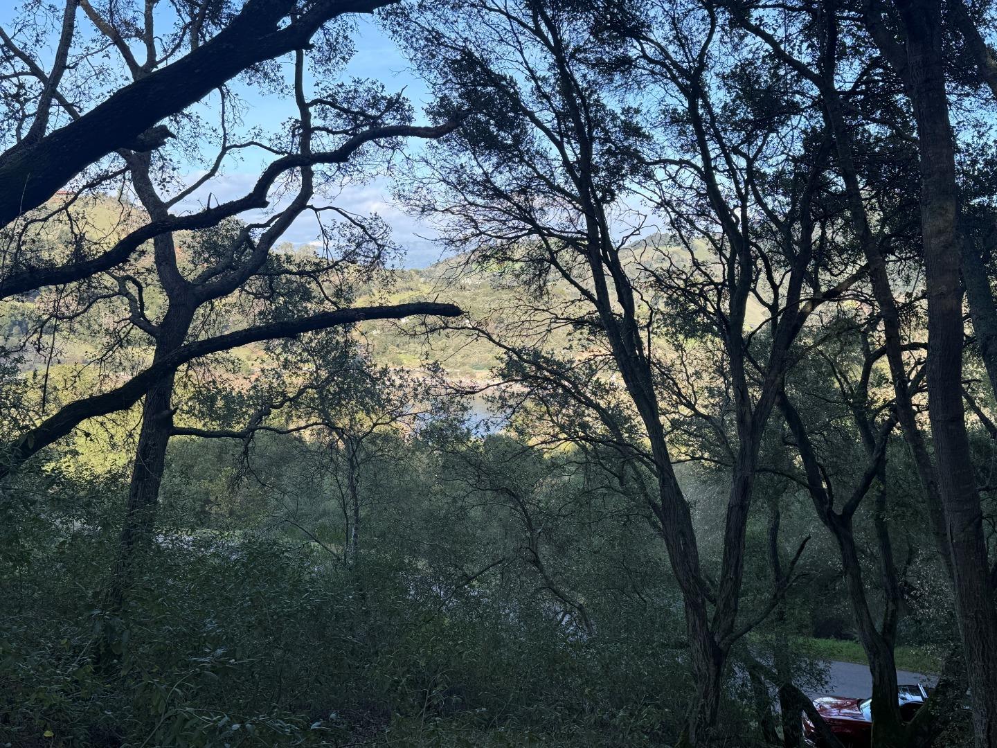 Detail Gallery Image 4 of 9 For 0 Chesbro Lake Dr, Morgan Hill,  CA 95037 - – Beds | – Baths