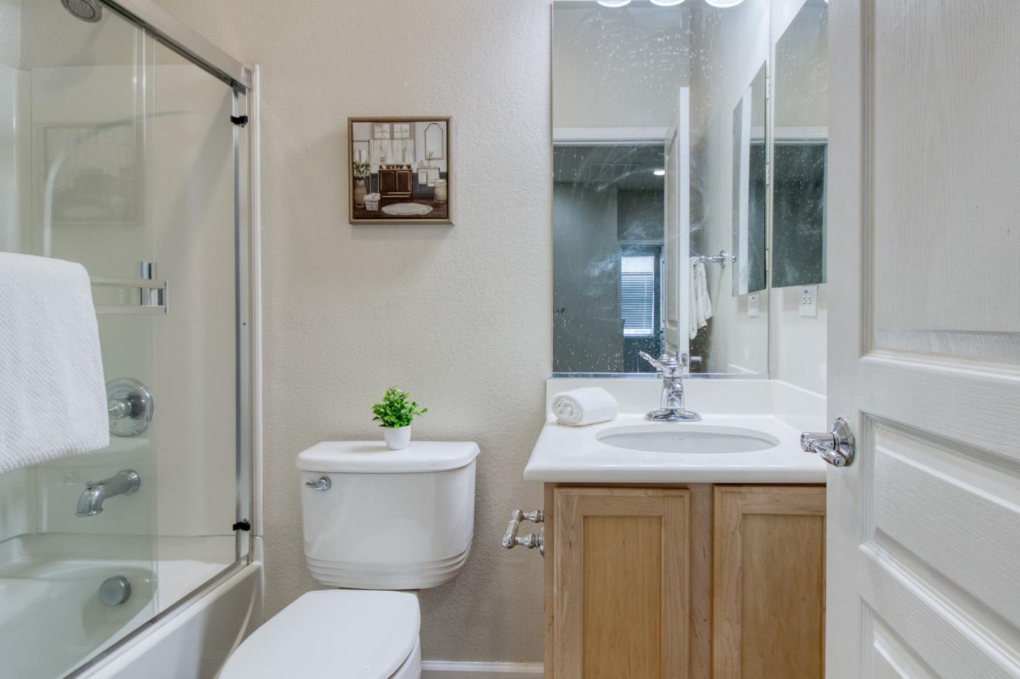 Detail Gallery Image 19 of 27 For 173 S Veracruz Pl, Mountain House,  CA 95391 - 3 Beds | 2/1 Baths