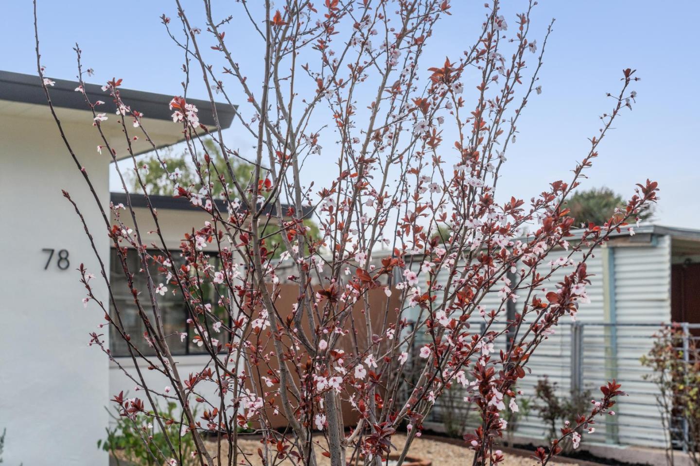 Detail Gallery Image 8 of 68 For 78 Nancy Dr, San Pablo,  CA 94806 - 4 Beds | 2 Baths