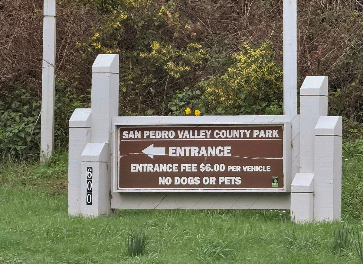 Detail Gallery Image 27 of 39 For 1559 Linda Mar Blvd, Pacifica,  CA 94044 - 3 Beds | 1 Baths