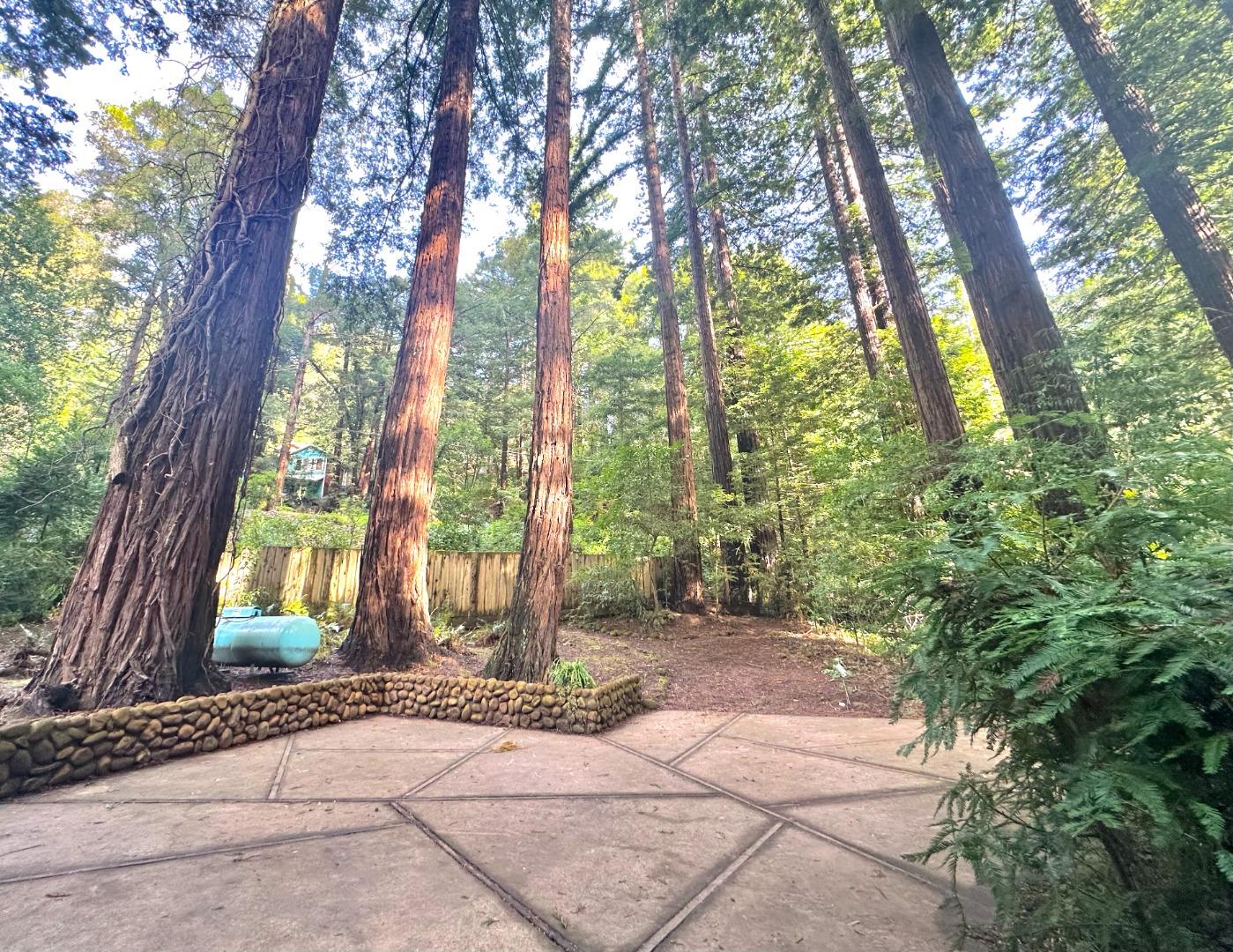 Detail Gallery Image 24 of 28 For 155 Mcgaffigan Mill Rd, Boulder Creek,  CA 95006 - 2 Beds | 1 Baths