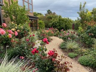 Detail Gallery Image 21 of 22 For 36 Loma Rd, Redwood City,  CA 94062 - 5 Beds | 4/3 Baths