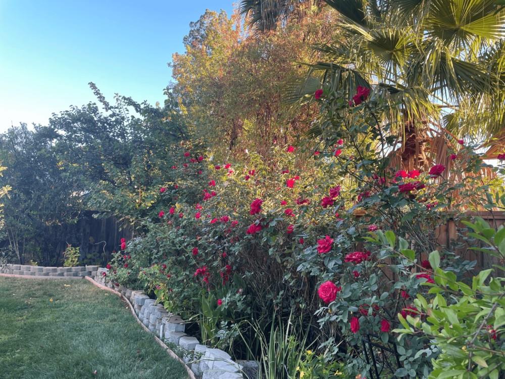 Detail Gallery Image 39 of 43 For 6270 Tweedholm Ct, San Jose,  CA 95120 - 5 Beds | 2/1 Baths