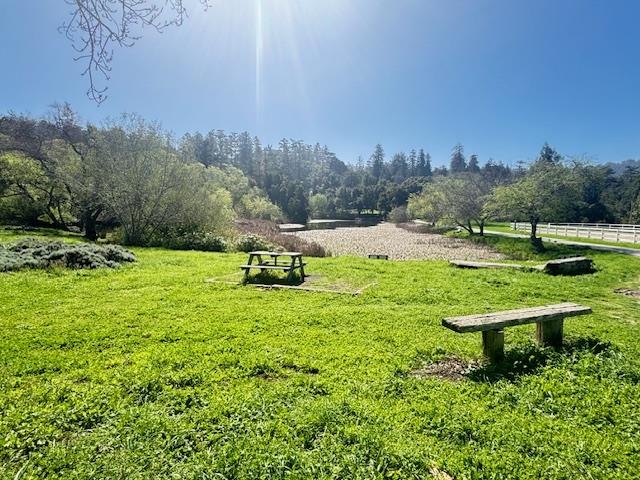 Detail Gallery Image 44 of 45 For 50 Escondido Pl, La Honda,  CA 94020 - 2 Beds | 1 Baths