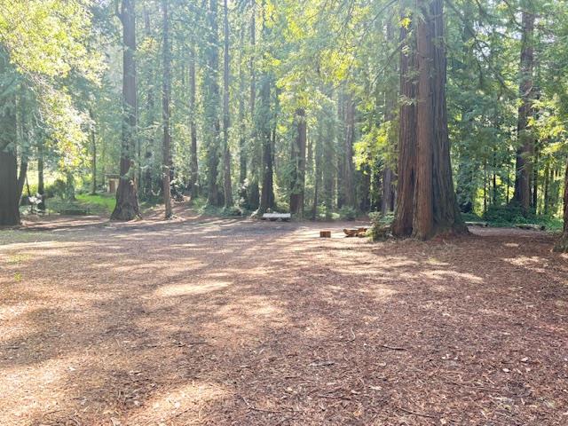 Detail Gallery Image 45 of 45 For 50 Escondido Pl, La Honda,  CA 94020 - 2 Beds | 1 Baths