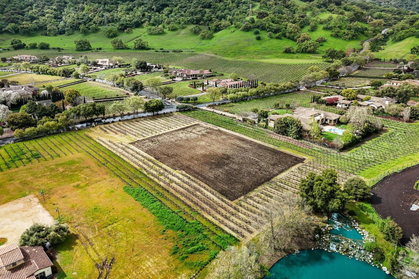 Detail Gallery Image 18 of 38 For 1265 Lions Peak Ln, San Martin,  CA 95046 - – Beds | – Baths