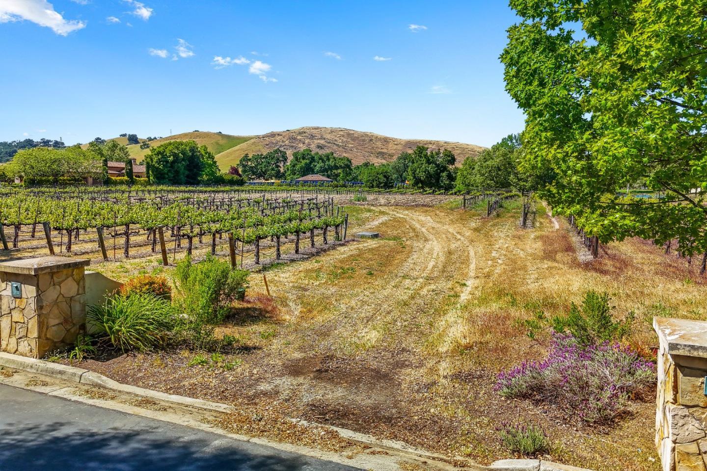 Detail Gallery Image 38 of 38 For 1265 Lions Peak Ln, San Martin,  CA 95046 - – Beds | – Baths