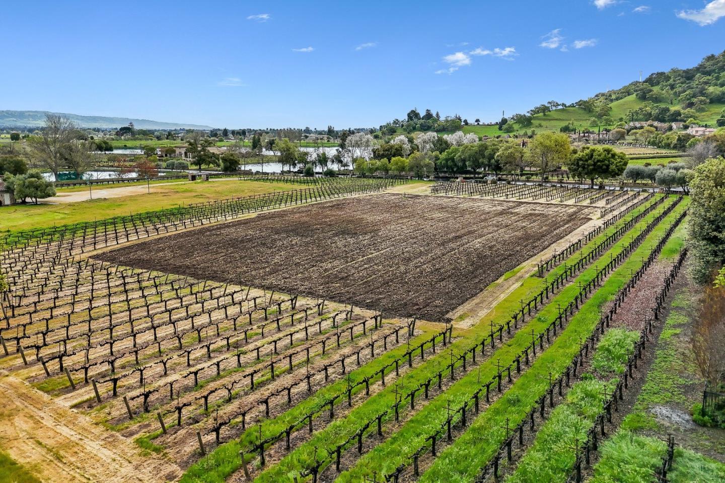 Detail Gallery Image 9 of 38 For 1265 Lions Peak Ln, San Martin,  CA 95046 - – Beds | – Baths