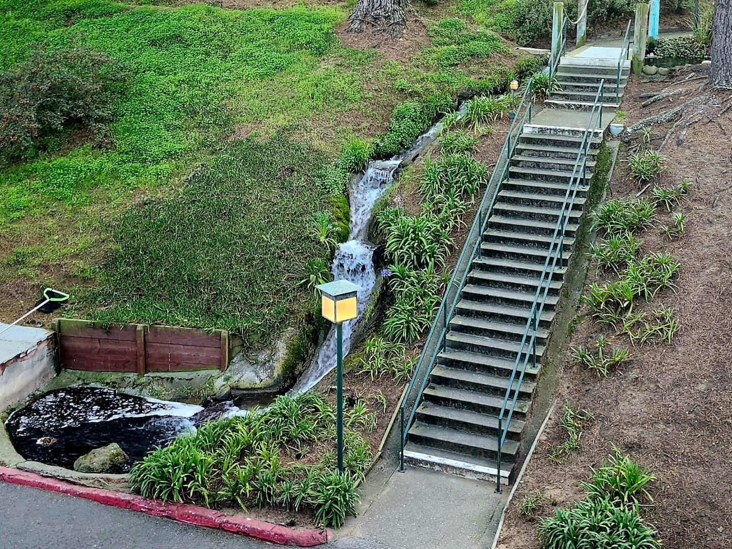 Detail Gallery Image 23 of 23 For 377 Mandarin Dr #201,  Daly City,  CA 94015 - 1 Beds | 1 Baths