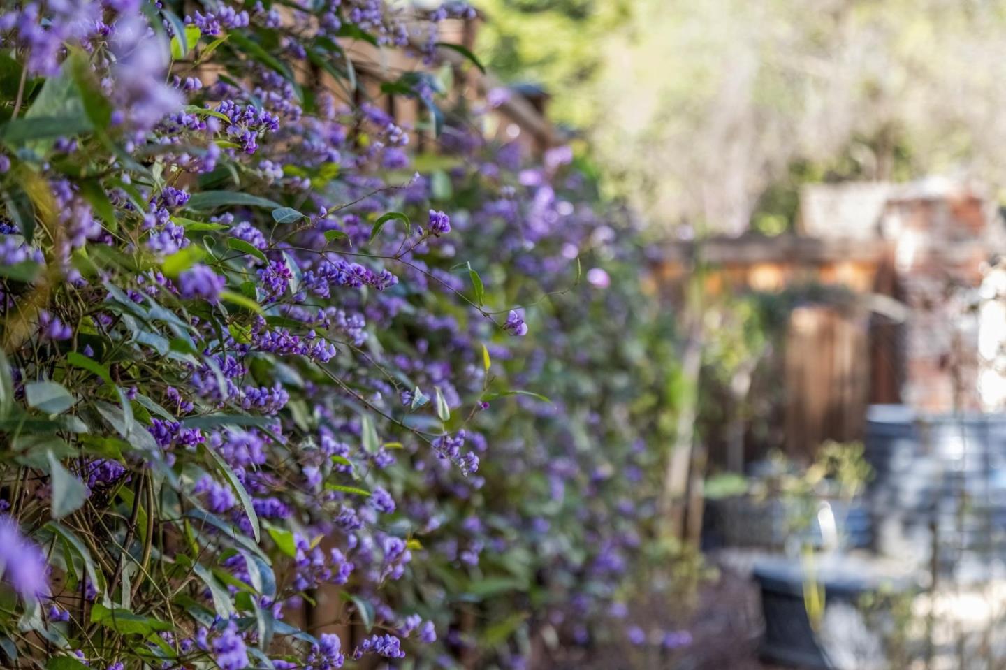 Detail Gallery Image 135 of 161 For 17930 Vineland Ave, Monte Sereno,  CA 95030 - 5 Beds | 5/2 Baths