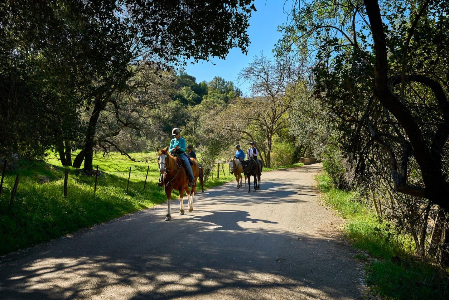Detail Gallery Image 50 of 52 For 6629 Barnsdale Ct, San Jose,  CA 95120 - 4 Beds | 2/1 Baths