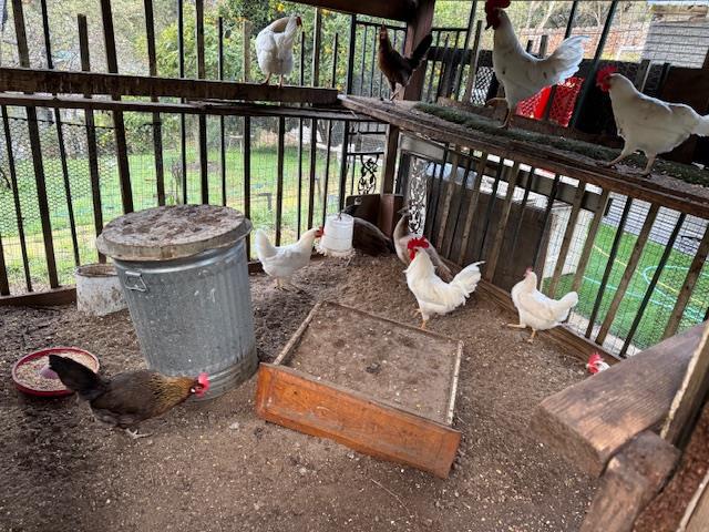 Detail Gallery Image 16 of 31 For 18171 Berta Canyon Rd, Salinas,  CA 93907 - 3 Beds | 3/1 Baths