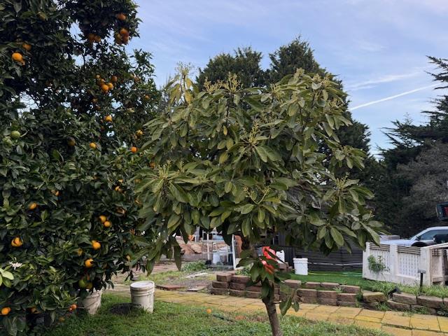 Detail Gallery Image 17 of 31 For 18171 Berta Canyon Rd, Salinas,  CA 93907 - 3 Beds | 3/1 Baths