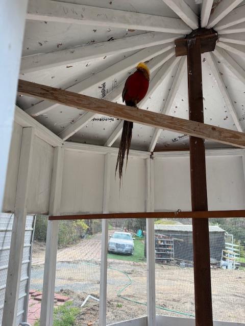 Detail Gallery Image 20 of 31 For 18171 Berta Canyon Rd, Salinas,  CA 93907 - 3 Beds | 3/1 Baths