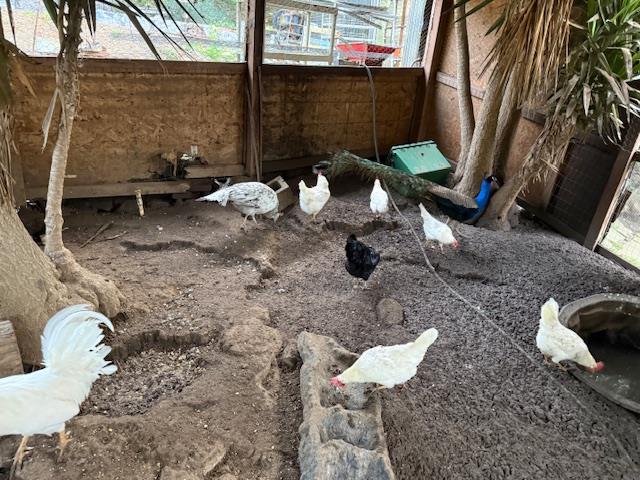 Detail Gallery Image 22 of 31 For 18171 Berta Canyon Rd, Salinas,  CA 93907 - 3 Beds | 3/1 Baths