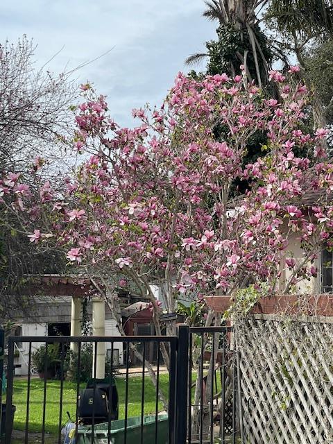Detail Gallery Image 9 of 31 For 18171 Berta Canyon Rd, Salinas,  CA 93907 - 3 Beds | 3/1 Baths