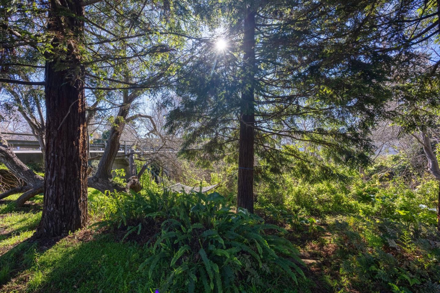 Detail Gallery Image 38 of 54 For 393 Stage Rd, Pescadero,  CA 94060 - 6 Beds | 5 Baths