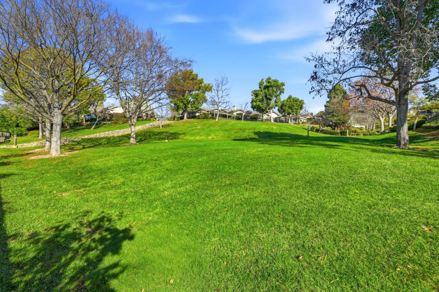 Photo #37: ML82035830 Listing: Photo #37