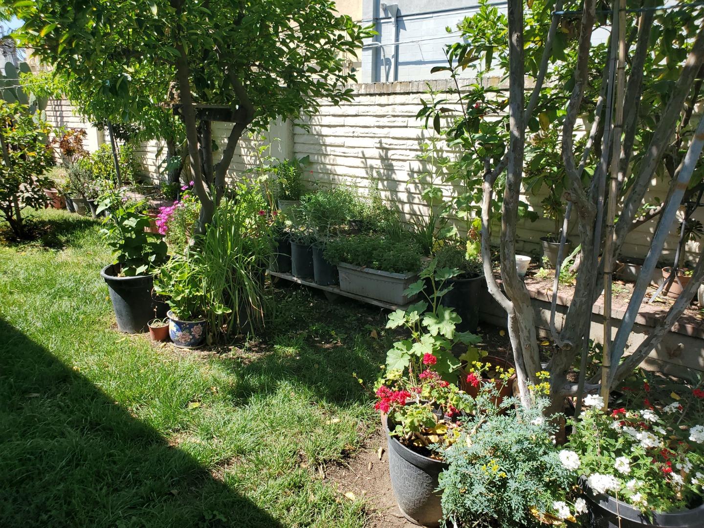 Detail Gallery Image 25 of 25 For 1655 Marsh St, San Jose,  CA 95122 - 3 Beds | 2 Baths