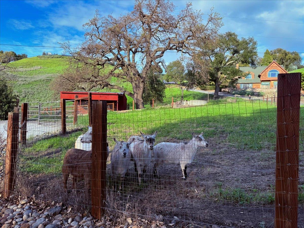 Detail Gallery Image 58 of 60 For 2285 Mcdonald Ln, Morgan Hill,  CA 95037 - 3 Beds | 2/1 Baths
