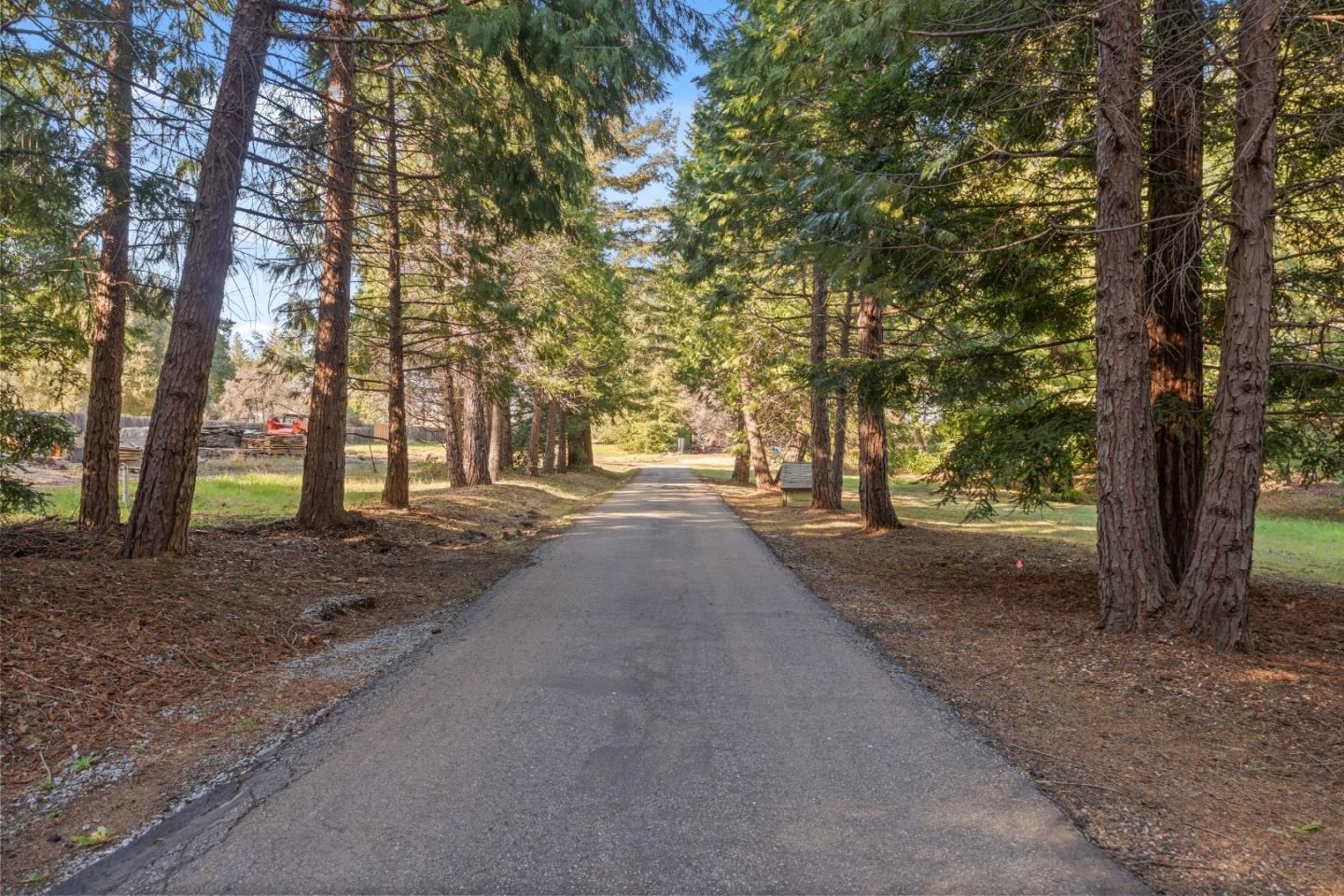 Detail Gallery Image 54 of 75 For 15 Braemoor Dr, Santa Cruz,  CA 95060 - 1 Beds | 1 Baths