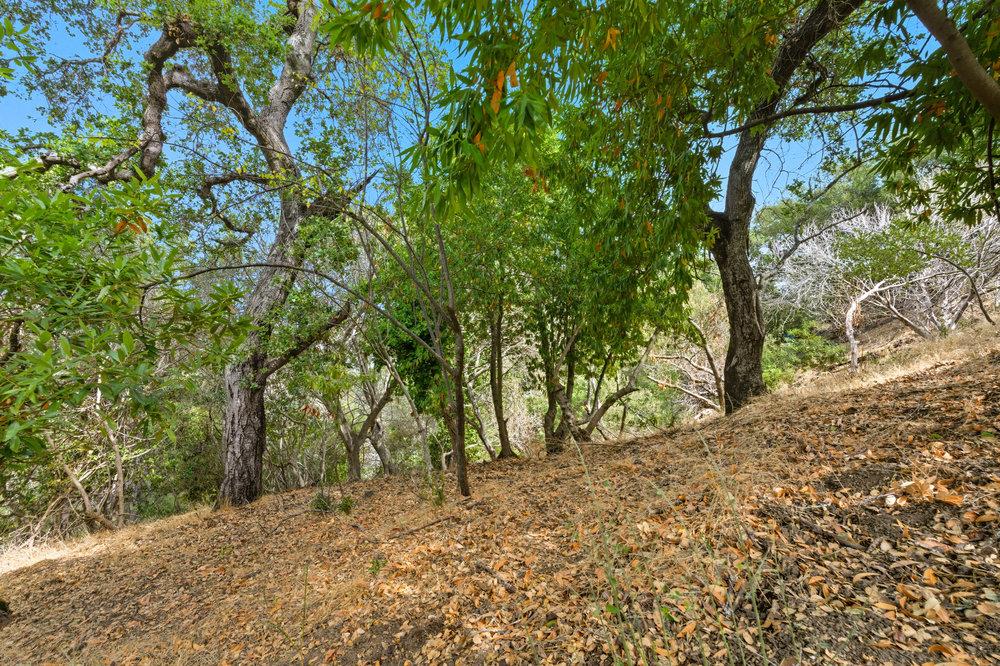 Detail Gallery Image 12 of 19 For 000 Lakeview Way, Redwood City,  CA 94062 - – Beds | – Baths