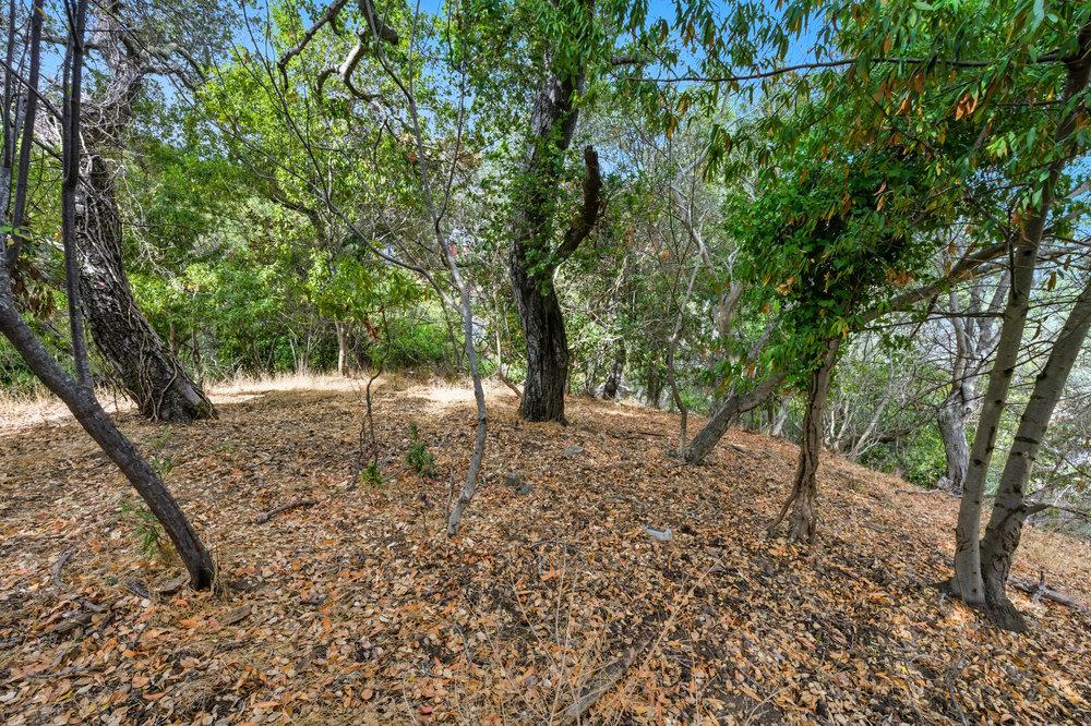 Detail Gallery Image 13 of 19 For 000 Lakeview Way, Redwood City,  CA 94062 - – Beds | – Baths