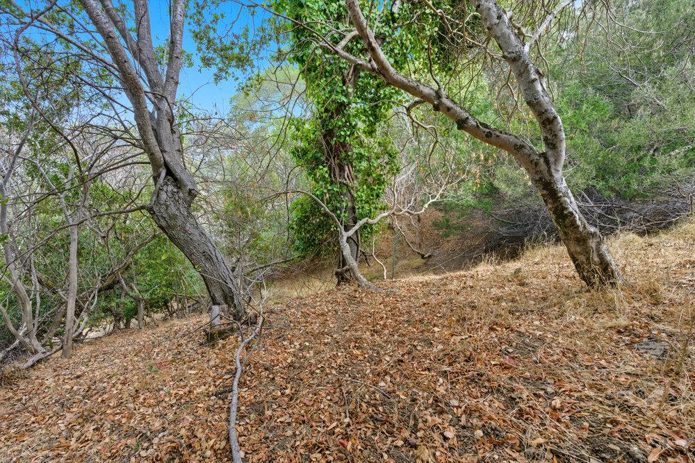 Detail Gallery Image 15 of 19 For 000 Lakeview Way, Redwood City,  CA 94062 - – Beds | – Baths