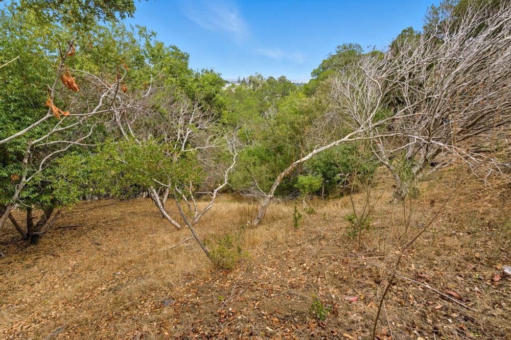 Detail Gallery Image 18 of 19 For 000 Lakeview Way, Redwood City,  CA 94062 - – Beds | – Baths