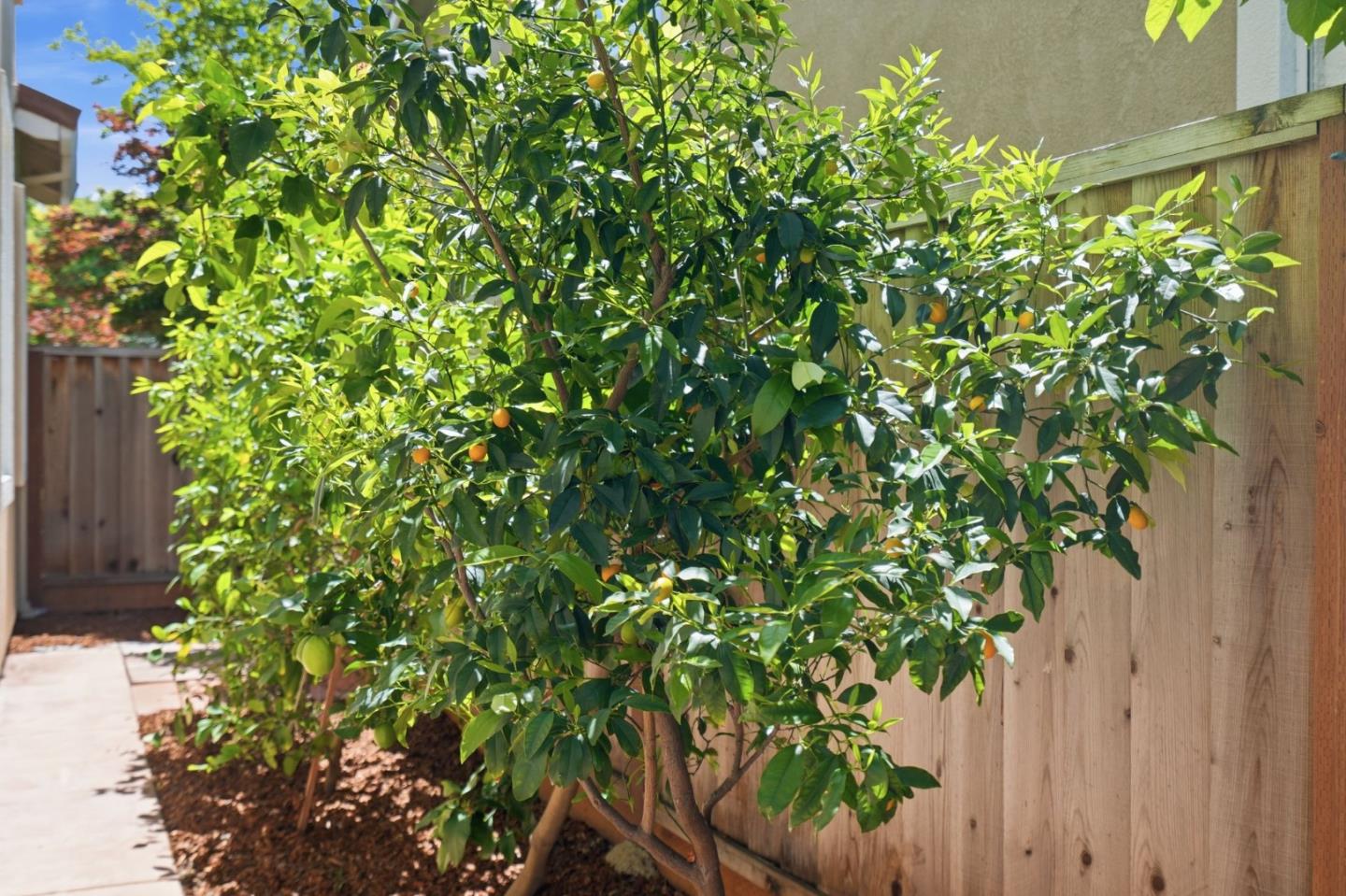 Detail Gallery Image 19 of 21 For 906 Windsor Hills Cir, San Jose,  CA 95123 - 3 Beds | 2/1 Baths