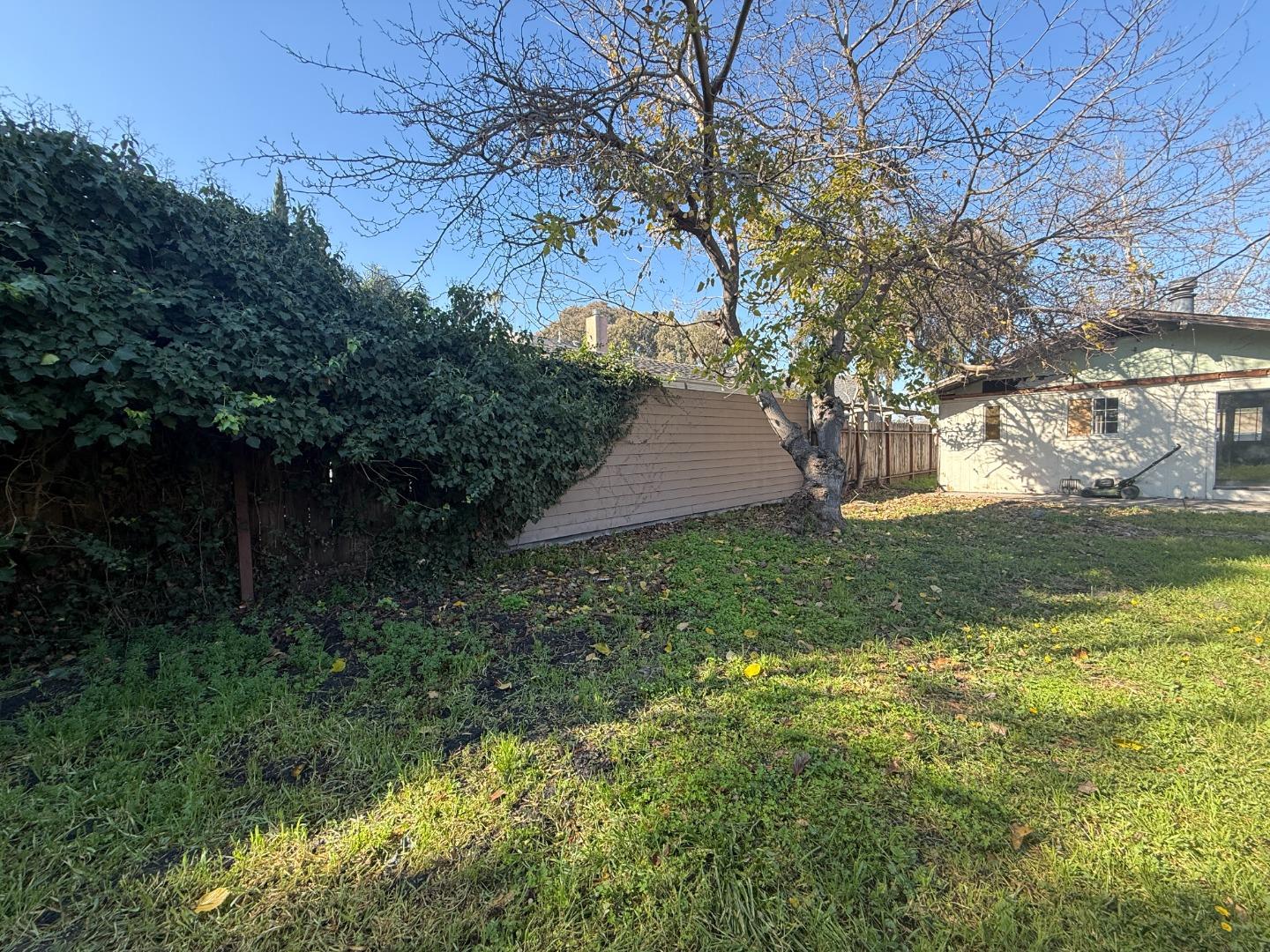 Detail Gallery Image 23 of 34 For 1490 Davis St, San Jose,  CA 95126 - 3 Beds | 1 Baths