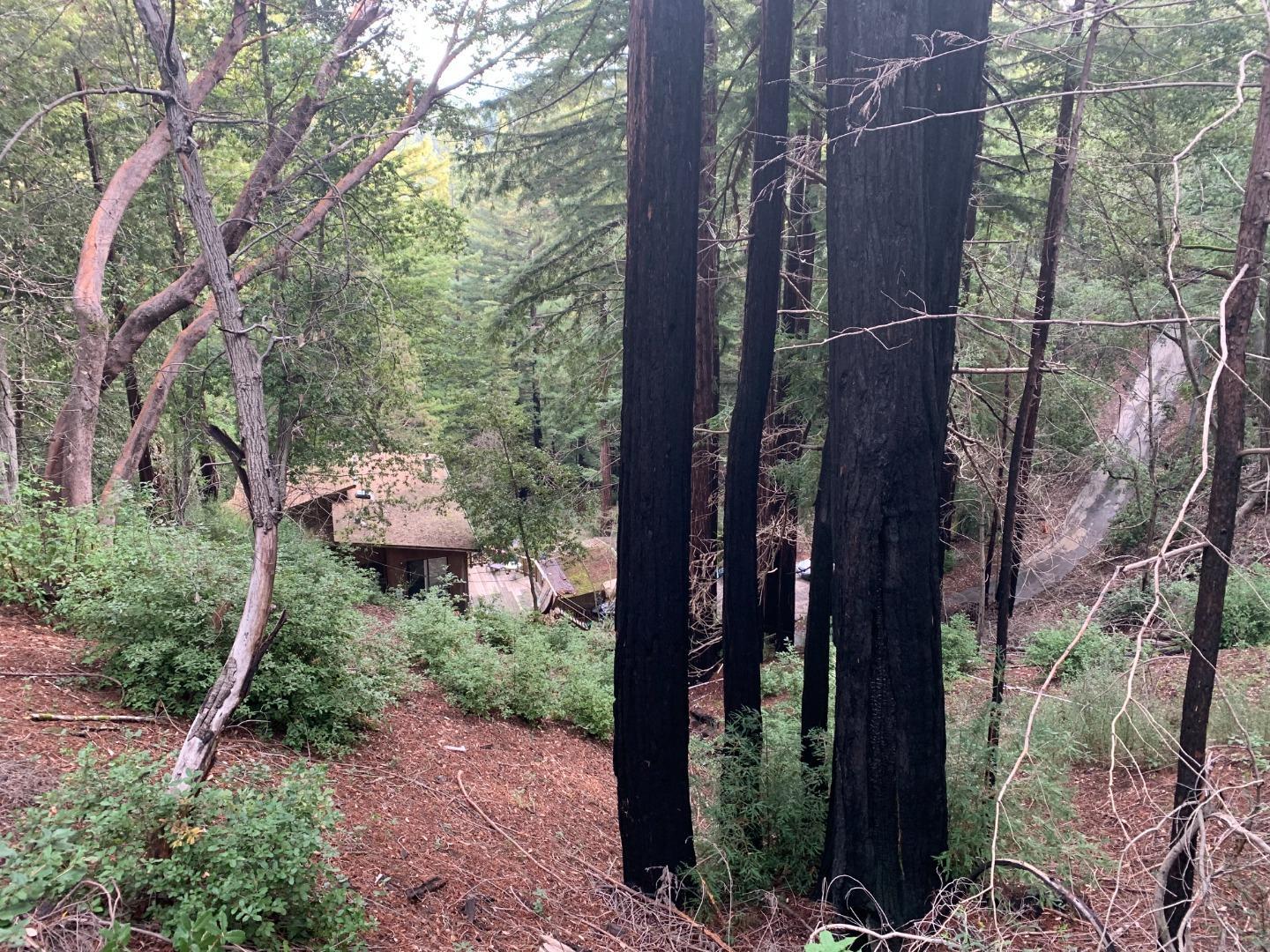 Detail Gallery Image 4 of 17 For 615 Heartwood Hl, Boulder Creek,  CA 95006 - 4 Beds | 3 Baths