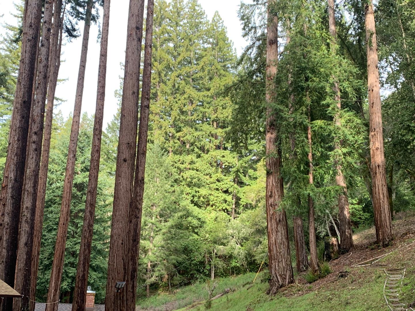 Detail Gallery Image 7 of 17 For 615 Heartwood Hl, Boulder Creek,  CA 95006 - 4 Beds | 3 Baths