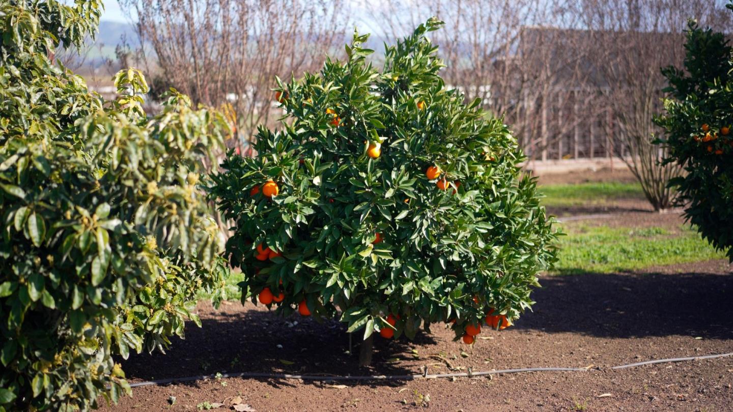 Detail Gallery Image 49 of 50 For 730 Lepa Ct, Gilroy,  CA 95020 - 4 Beds | 3 Baths