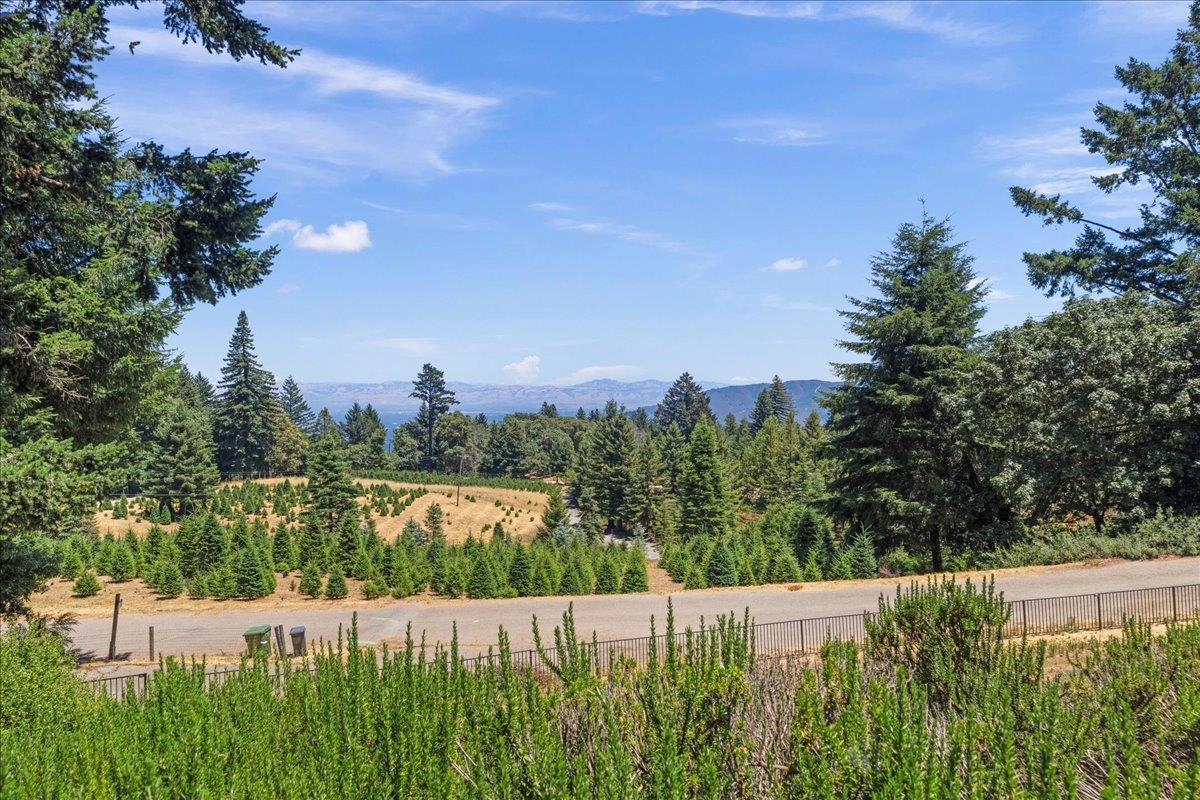 Detail Gallery Image 42 of 74 For 19960 Skyline Blvd, Los Gatos,  CA 95033 - 4 Beds | 3/1 Baths