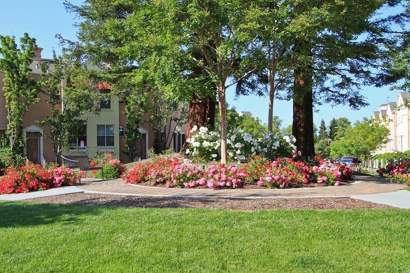 Detail Gallery Image 4 of 39 For 126 Pacchetti Way, Mountain View,  CA 94040 - 3 Beds | 3 Baths