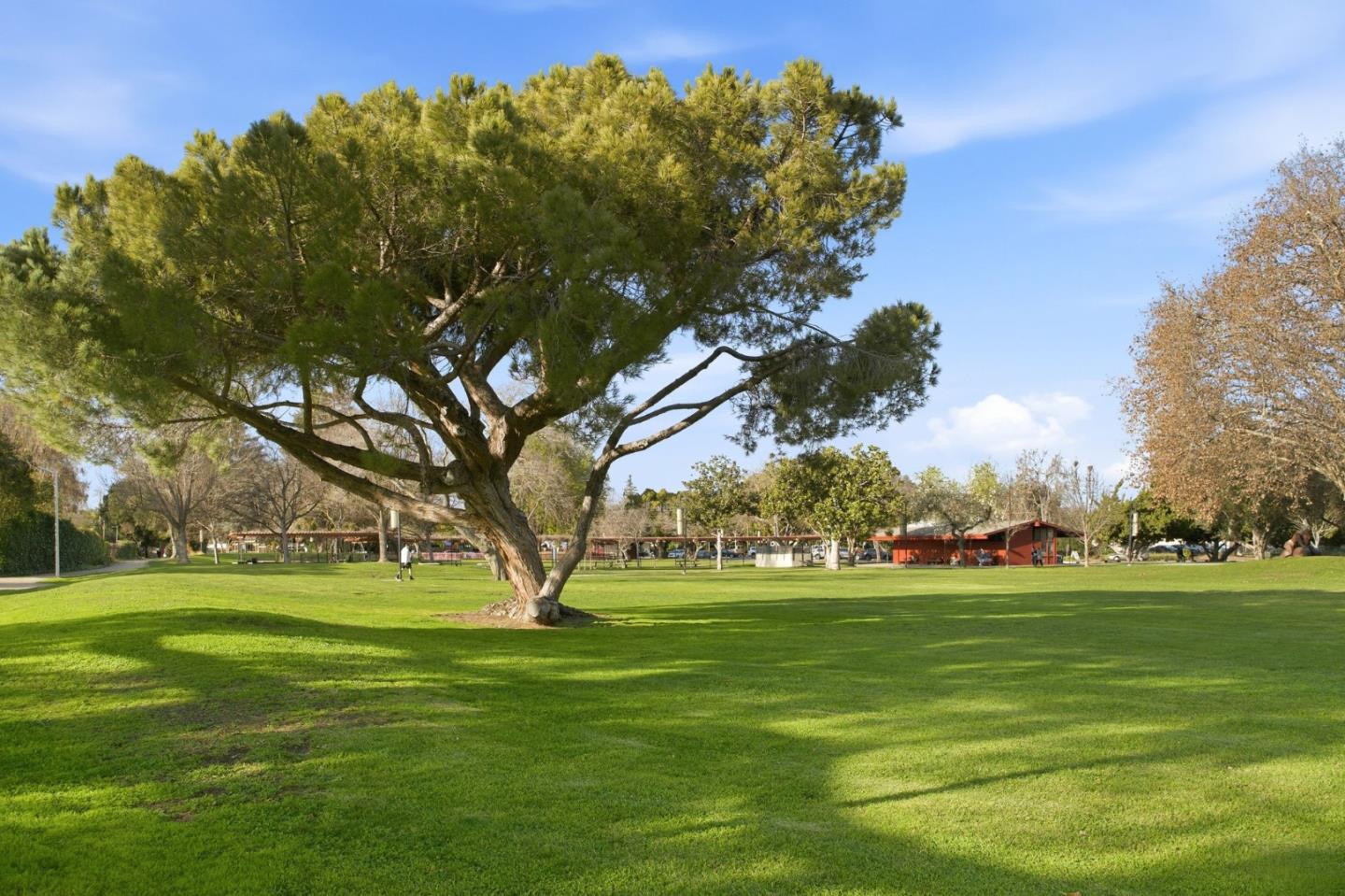 Detail Gallery Image 45 of 45 For 820 Altaire Walk, Palo Alto,  CA 94303 - 3 Beds | 2/1 Baths