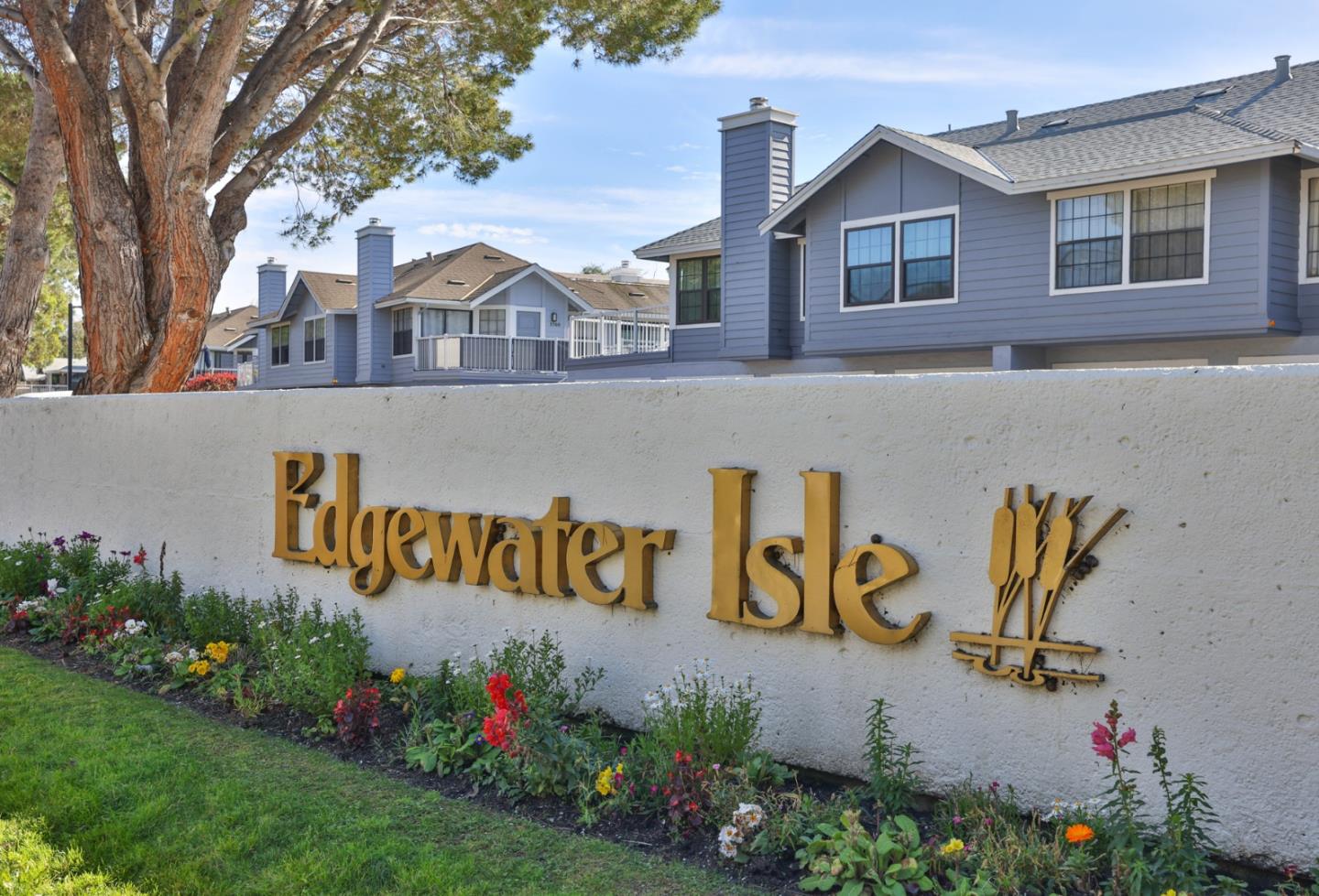 Photo #5: ML82036026 Listing: Photo #5