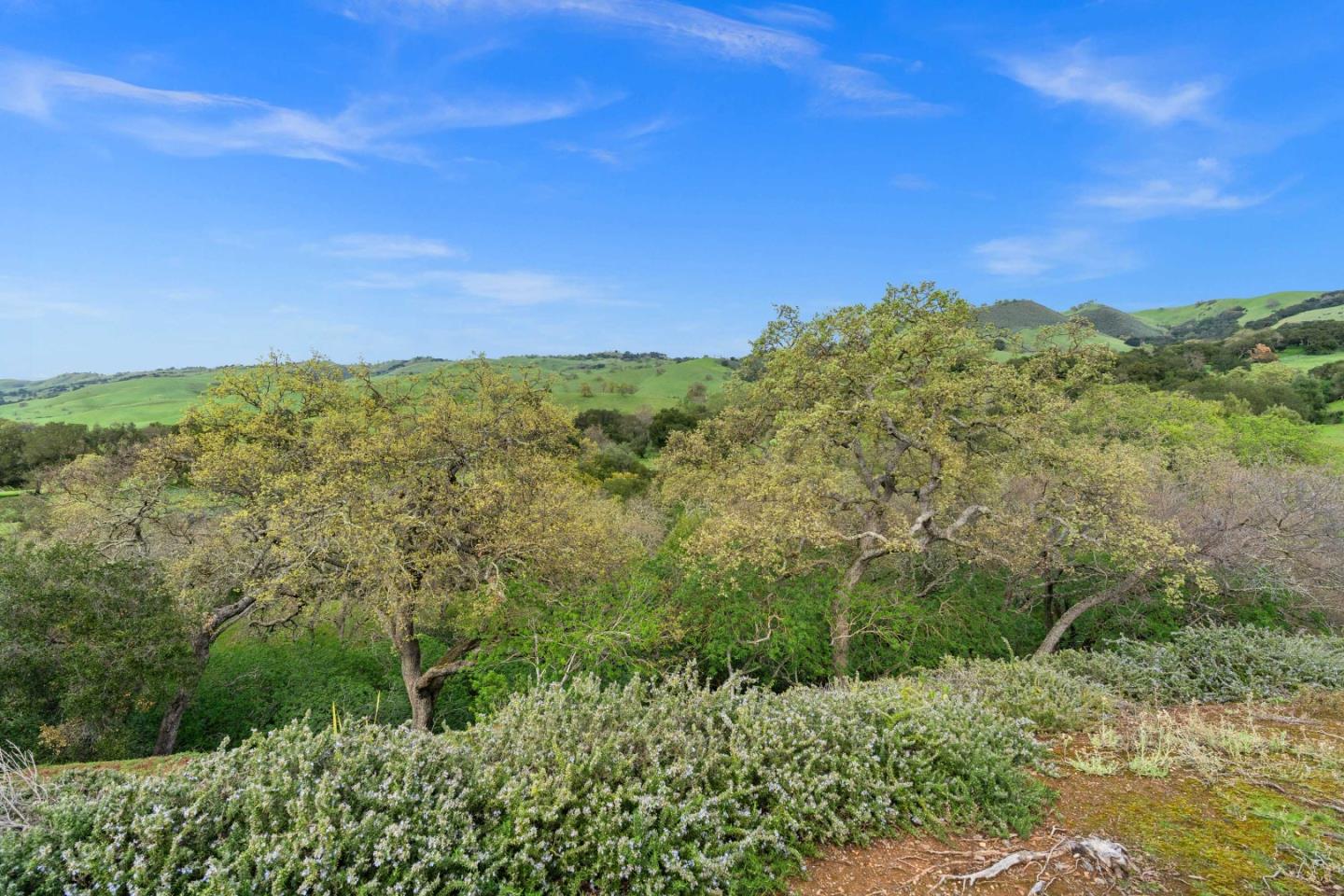 Detail Gallery Image 7 of 40 For 9008 Village View Dr, San Jose,  CA 95135 - 2 Beds | 2/1 Baths