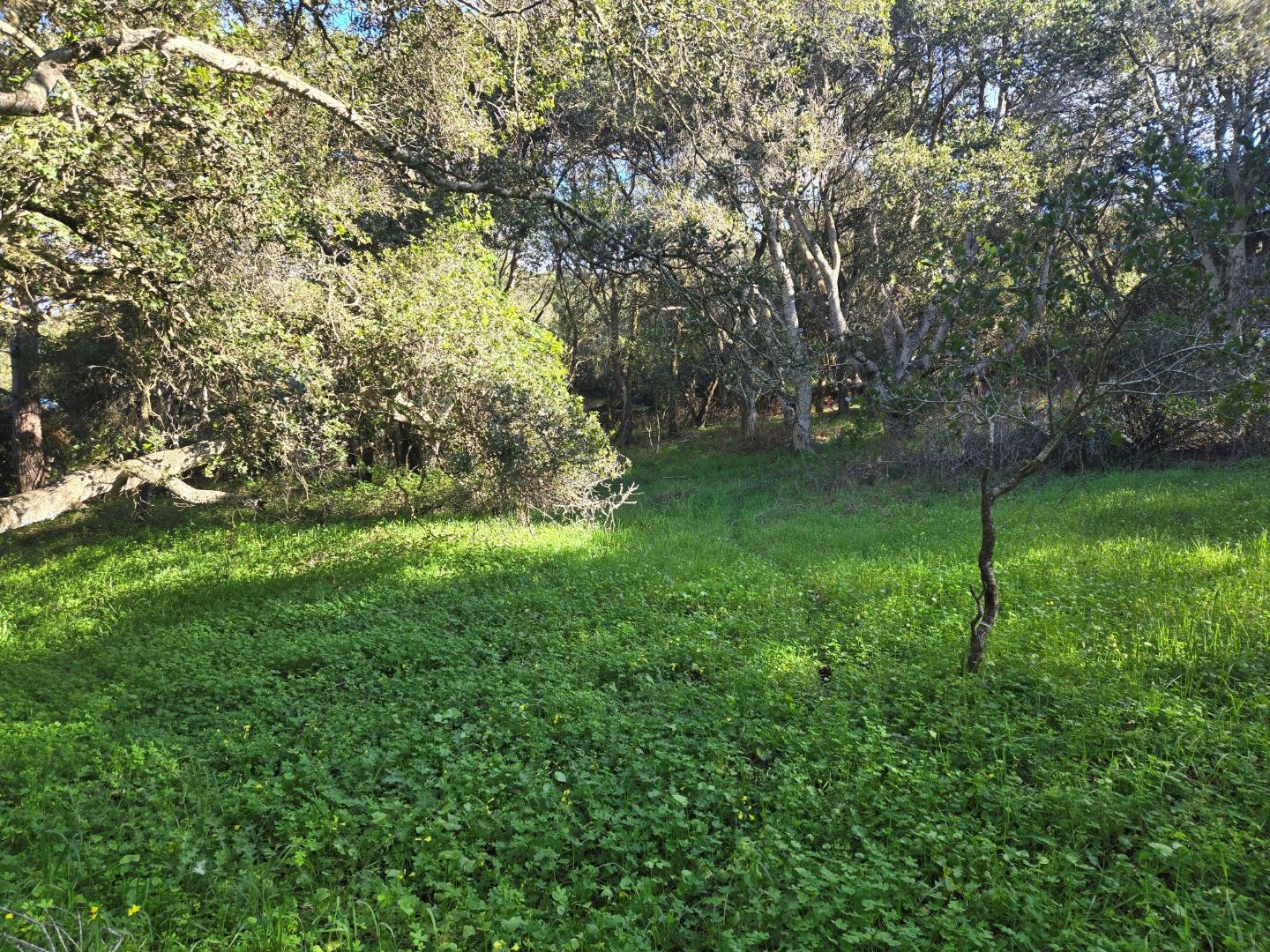 Detail Gallery Image 10 of 29 For 0 Paradise Rd, Salinas,  CA 93907 - – Beds | – Baths