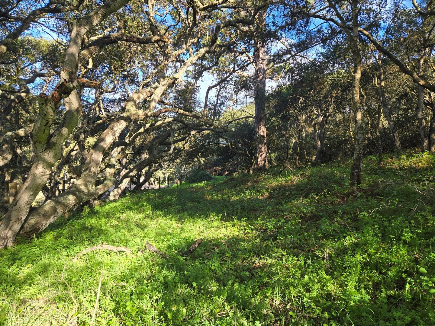 Detail Gallery Image 14 of 29 For 0 Paradise Rd, Salinas,  CA 93907 - – Beds | – Baths