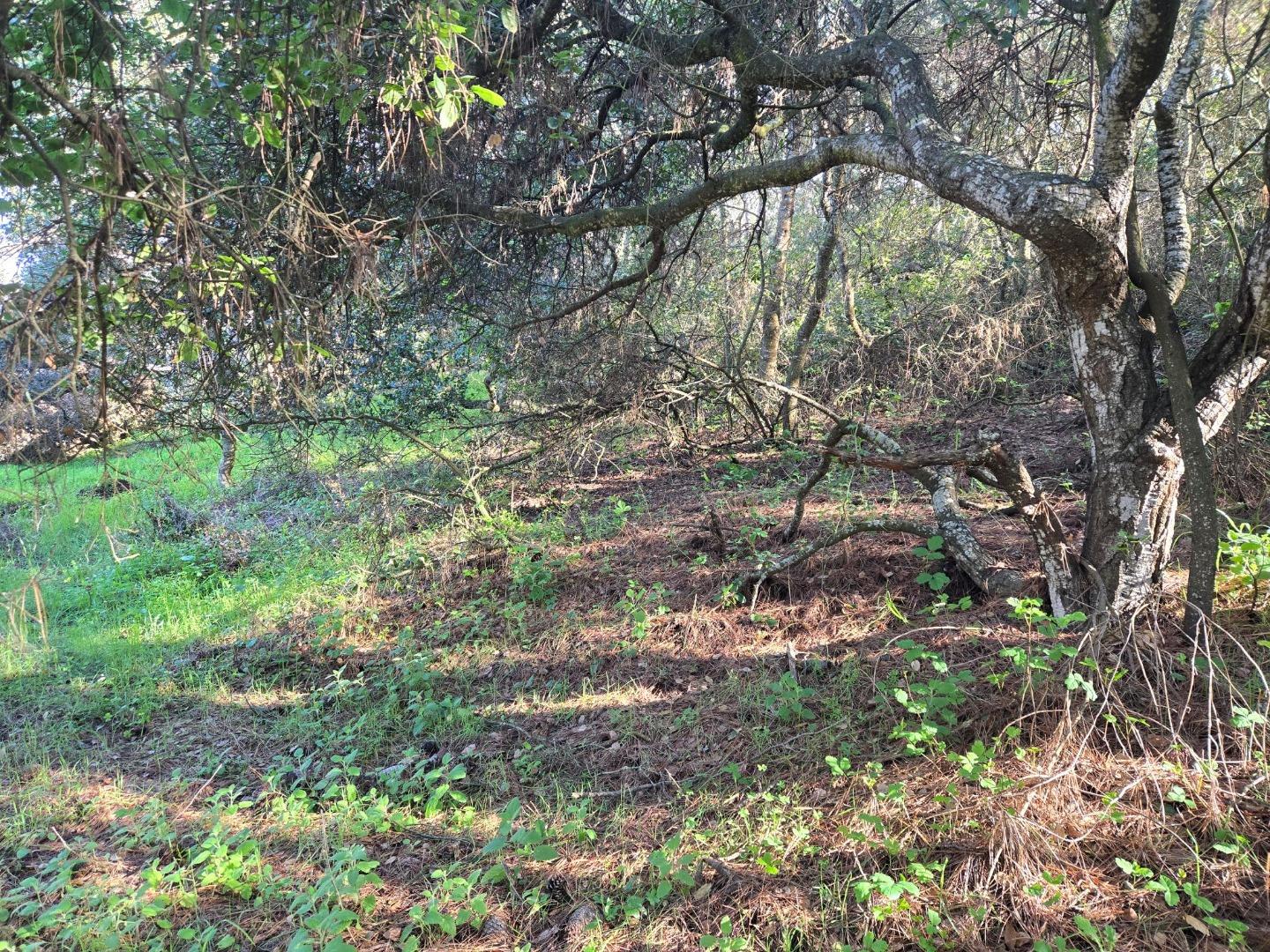 Detail Gallery Image 15 of 29 For 0 Paradise Rd, Salinas,  CA 93907 - – Beds | – Baths