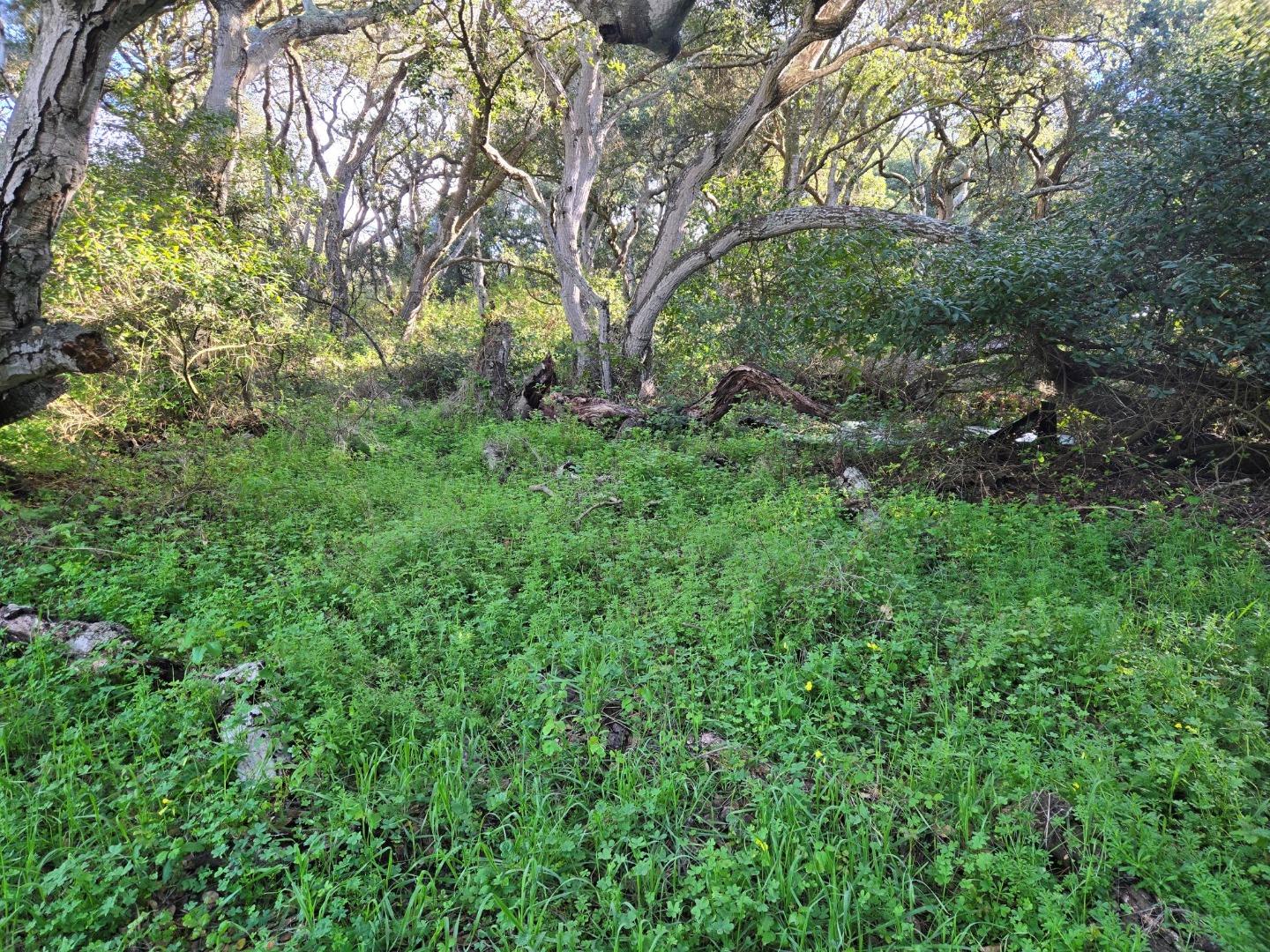 Detail Gallery Image 17 of 29 For 0 Paradise Rd, Salinas,  CA 93907 - – Beds | – Baths